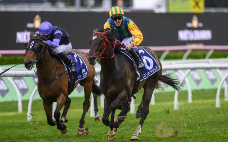 长的球员 长的球员