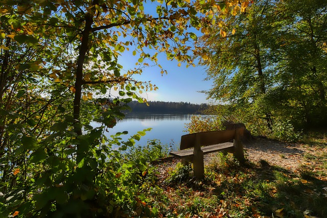 环境保护 环境保护